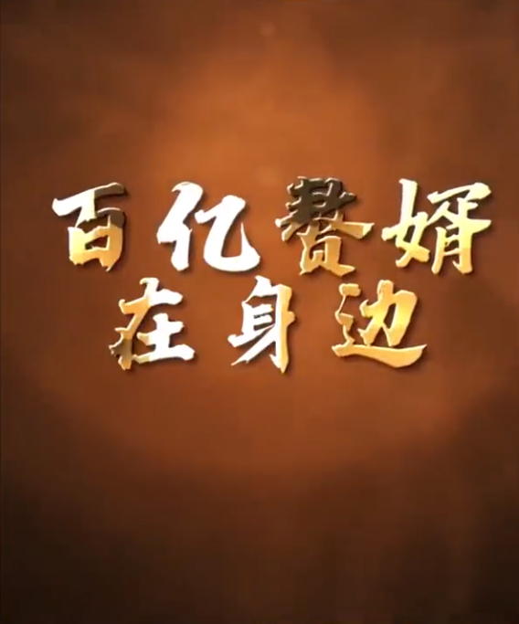 百亿赘婿在身边第65集