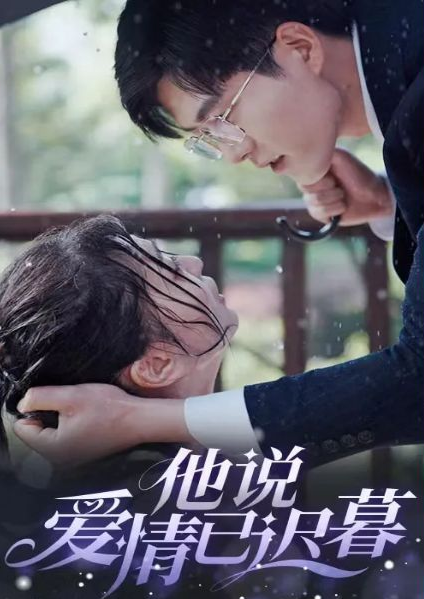 他说爱情已迟暮第48集