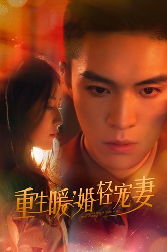 重生暖婚轻宠妻短剧第09集