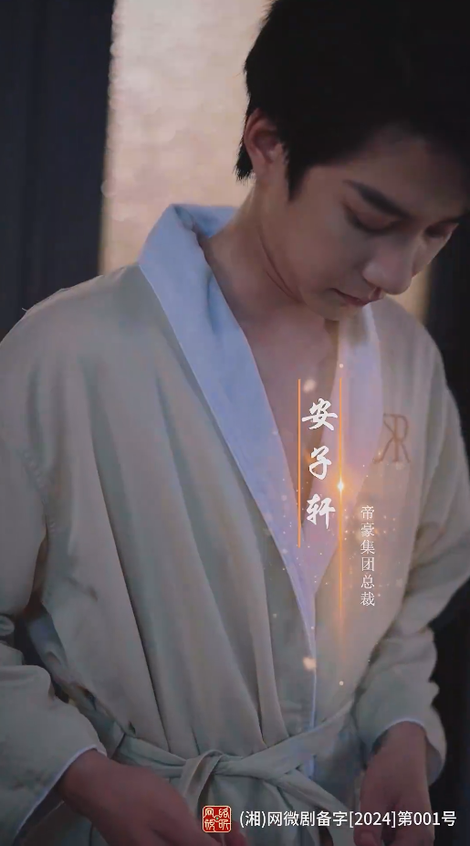 假意真情第13集