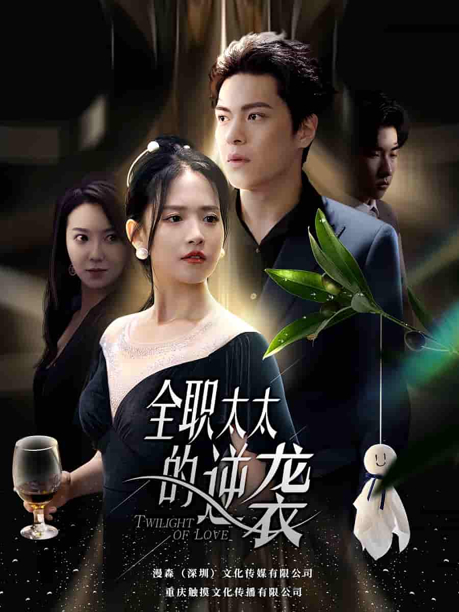 全职太太的逆袭第12集