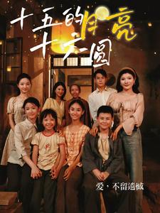 十五的月亮十六圆第29集