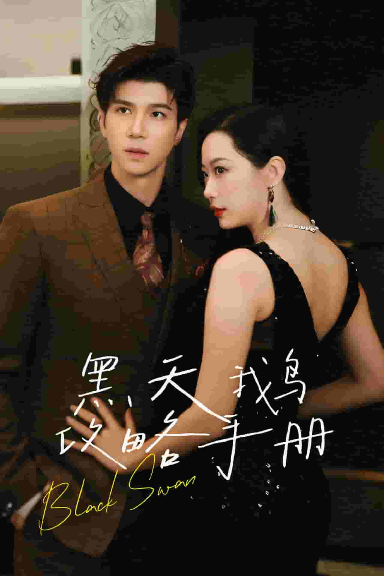 黑天鹅攻略手册第11集
