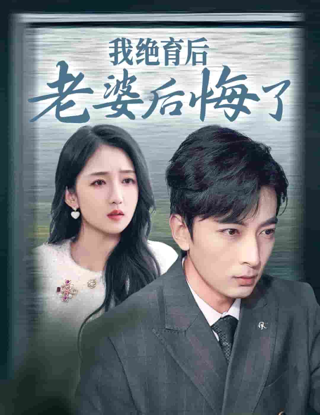 我绝育后老婆后悔了第13集