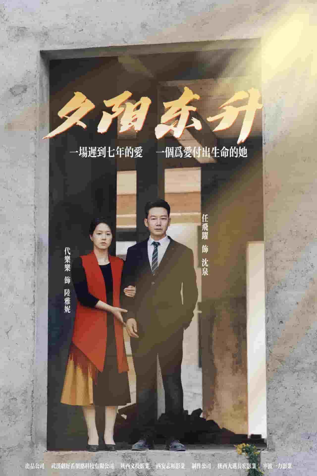 夕阳东升第25集