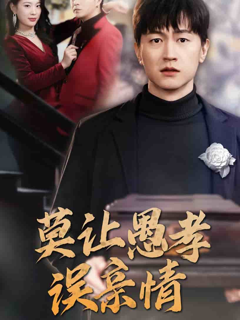 莫让愚孝误亲情第33集