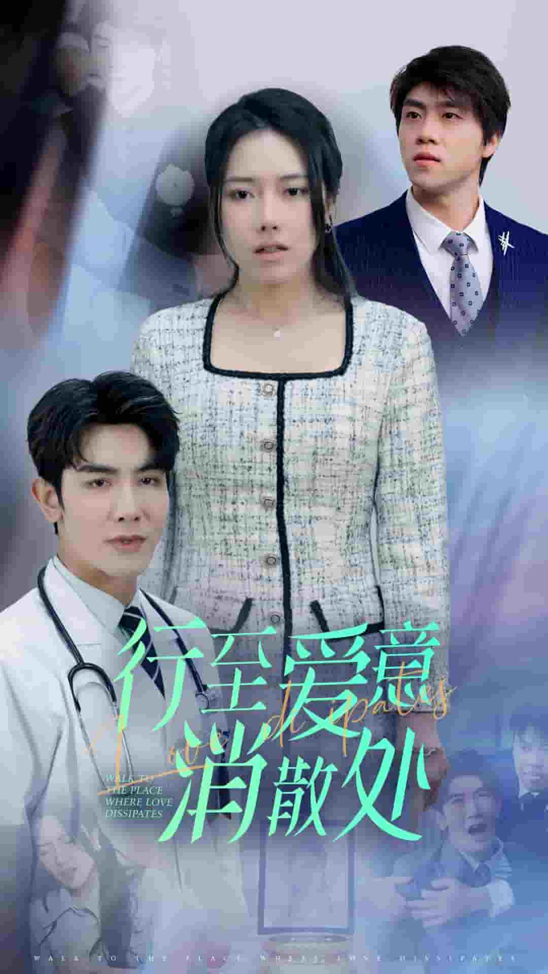 新：行至爱意消散处第17集