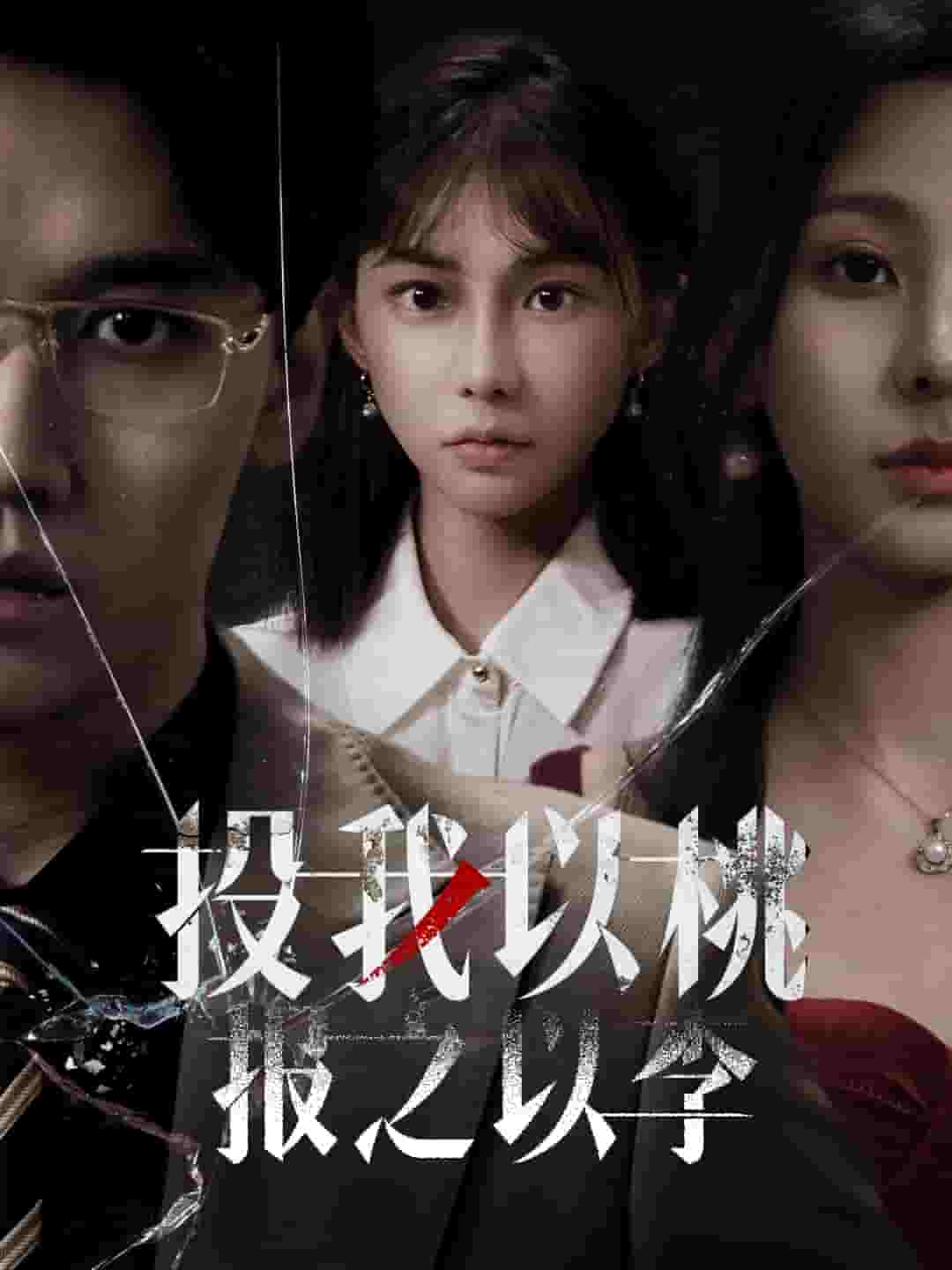 投我以桃报之以李第24集