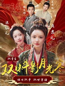 双姝斗影月光寒第35集