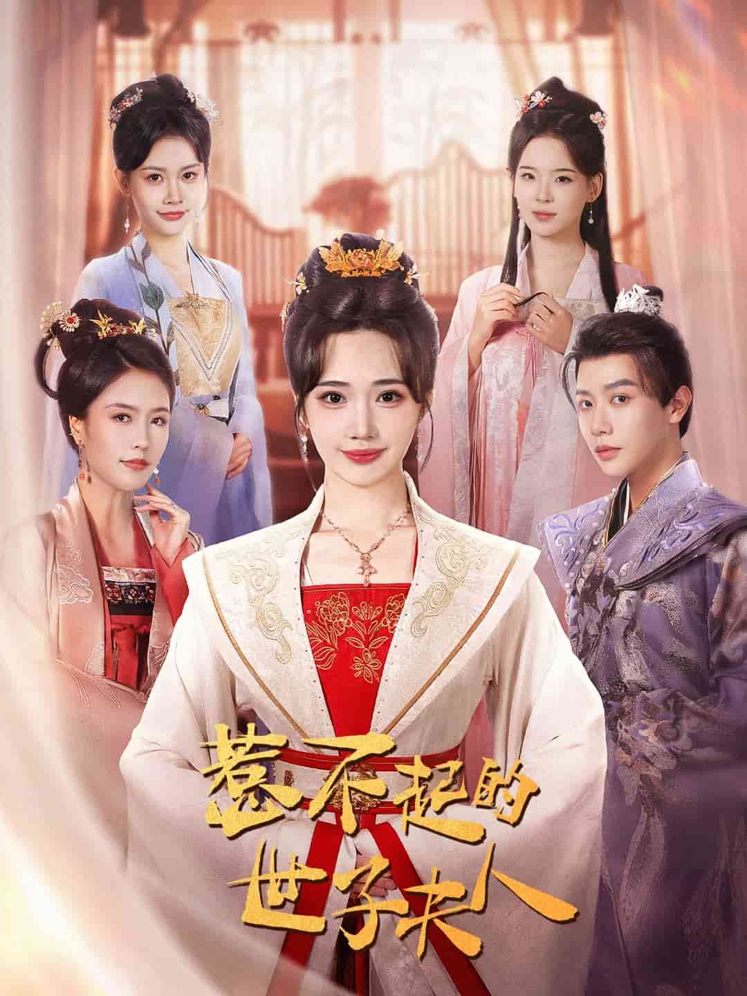 惹不起的世子夫人第27集