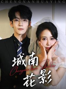 城南花影第1集