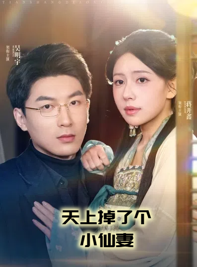 天上掉了个小仙妻第1集