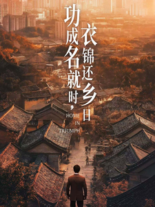 功成名就时衣锦还乡日第2集
