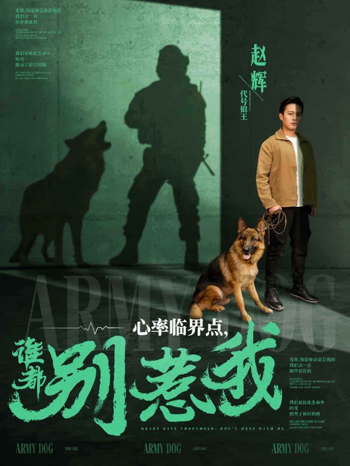 心率临界点谁都别惹我第51集