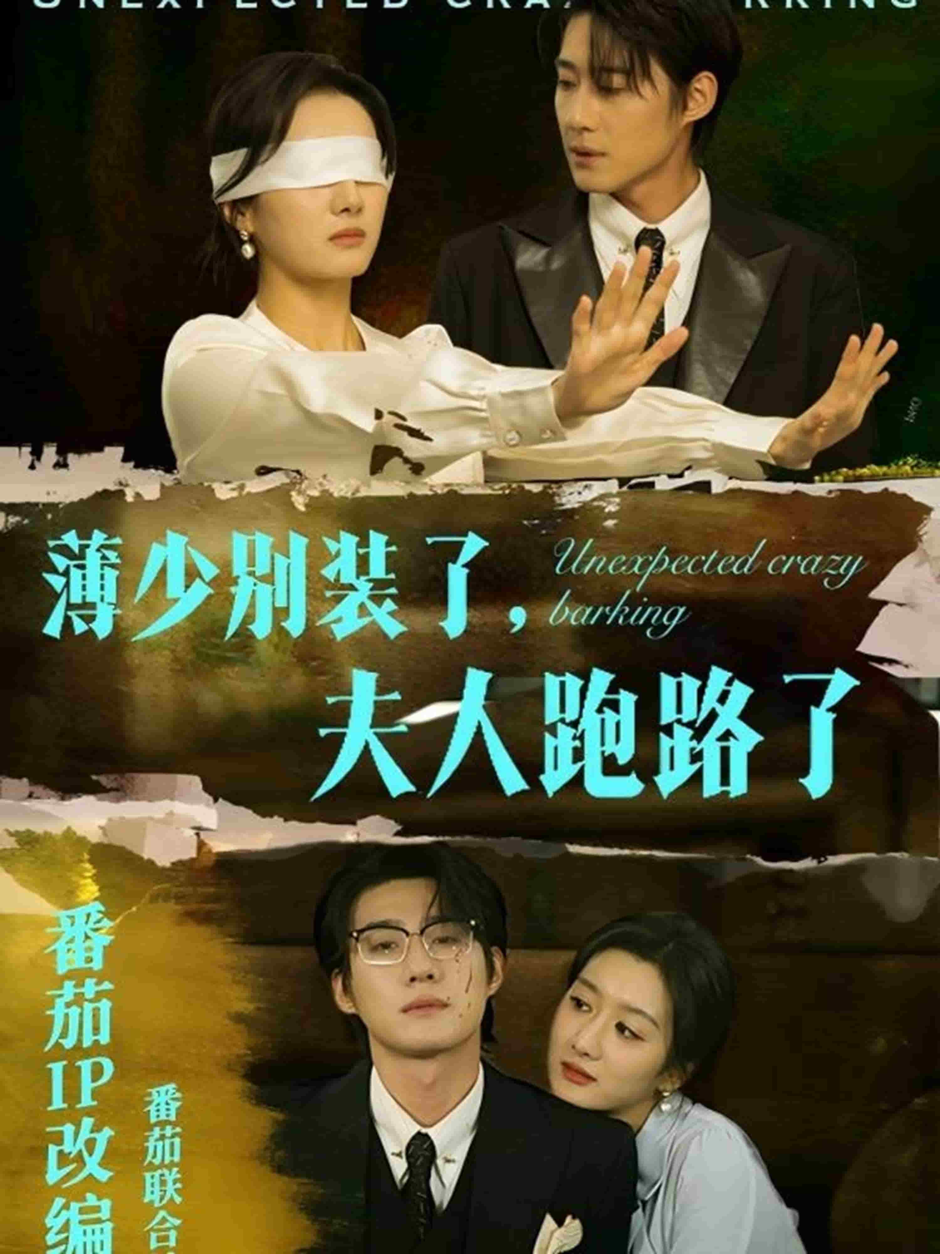 薄少别装了夫人跑路了第14集