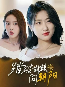 踏破荆棘向朝阳第15集