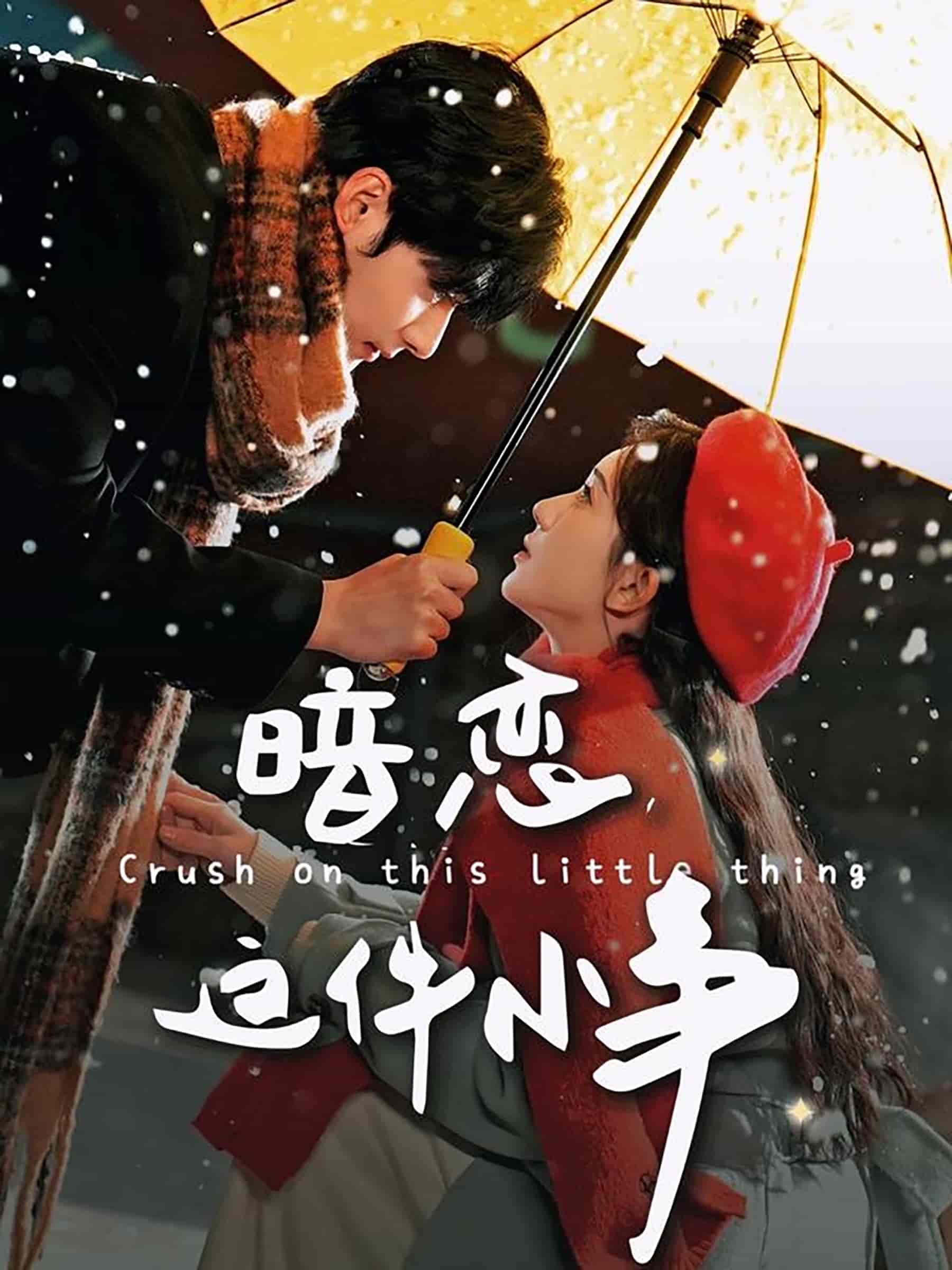暗恋这件小事第48集