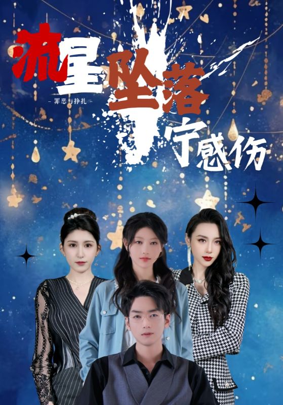 流星坠落宁感伤第67集