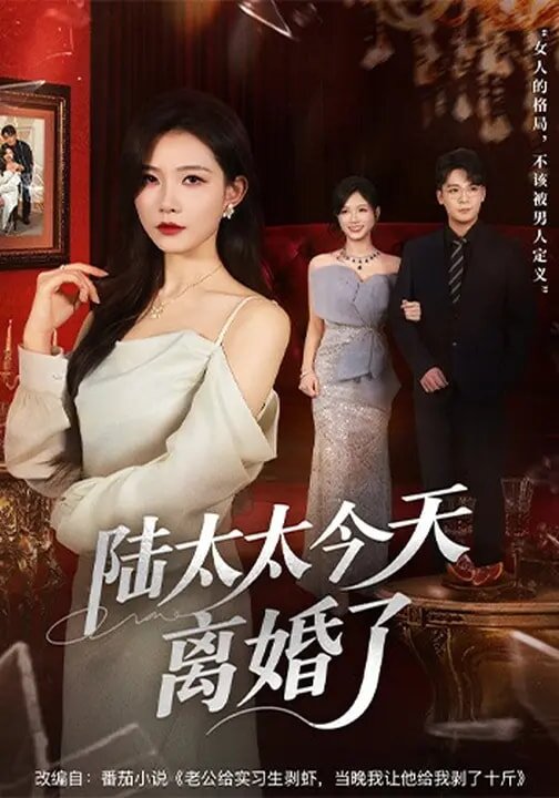 陆太太今天离婚了第28集