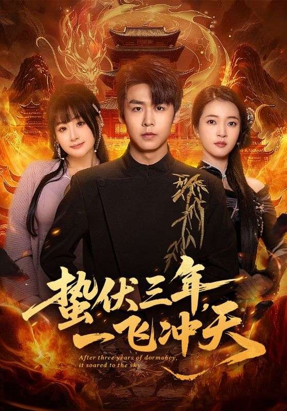 蛰伏三年，一飞冲天第01集