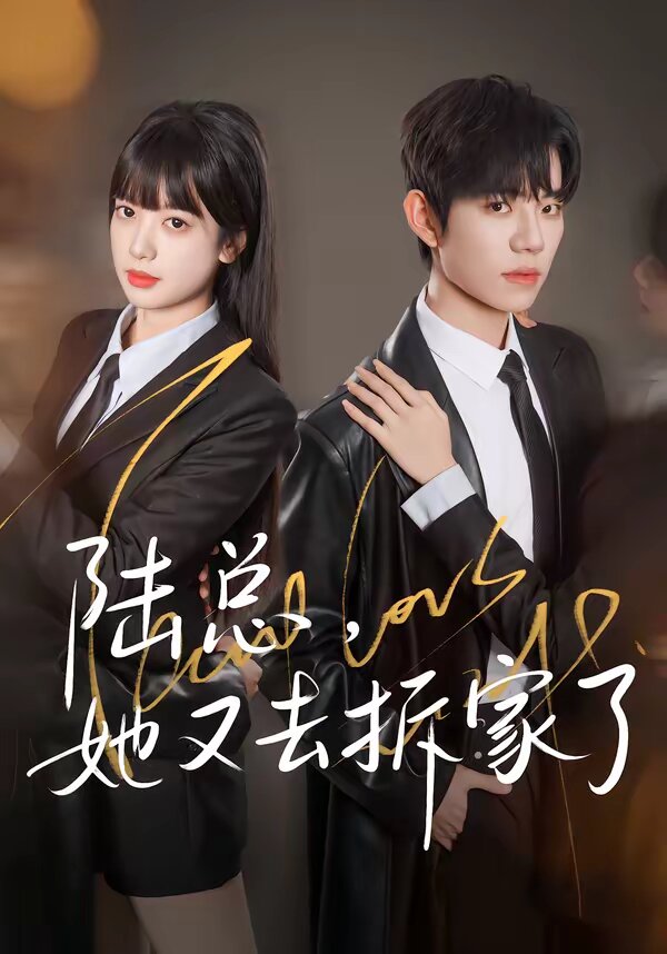 陆总，她又去拆家了第70集